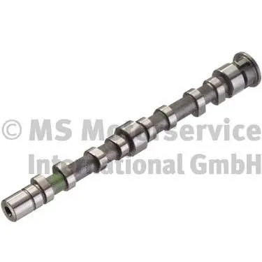 Camshaft (WG1281950)