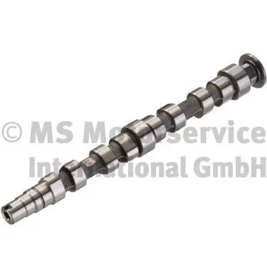 Camshaft (WG1017543)