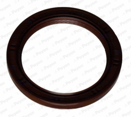 Shaft Seal, crankshaft (WG1183277)