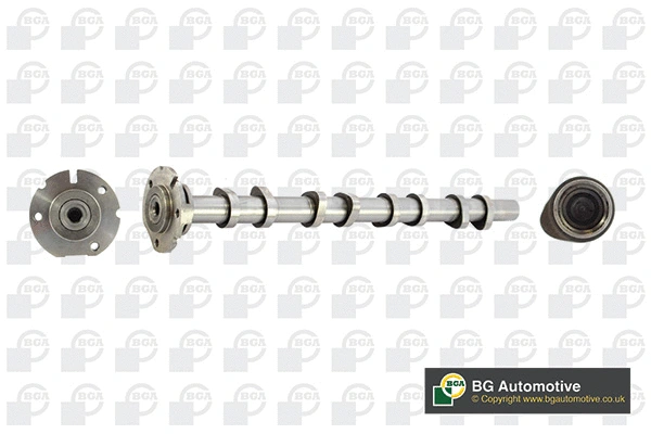 Camshaft (WG1490453)