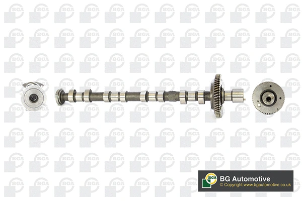 Camshaft (WG1490541)