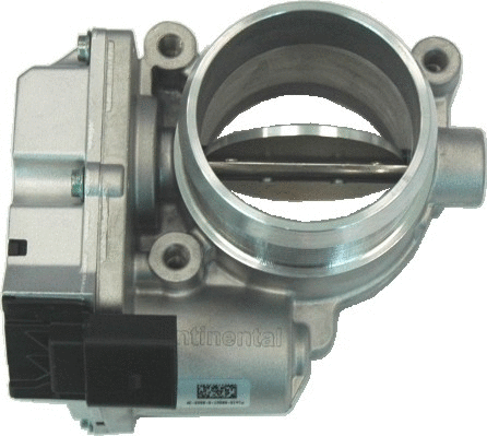 Throttle Body (WG1013541)