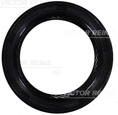 Shaft Seal, camshaft (WG1915846)