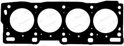 Gasket, cylinder head (WG1177795)