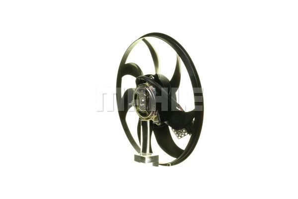 Fan, engine cooling