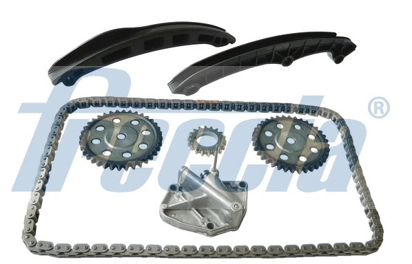 Timing Chain Kit (WG1909998)
