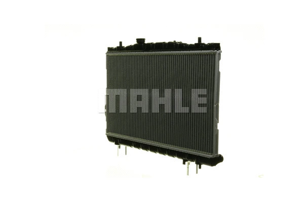 Radiator, engine cooling (WG2182492)