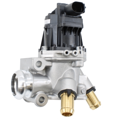 EGR Valve (WG2172967)