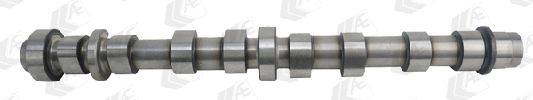 Camshaft (WG1462575)