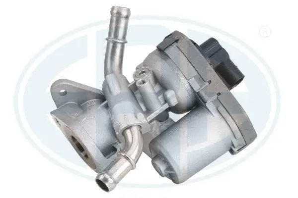 EGR Valve (WG2015825)
