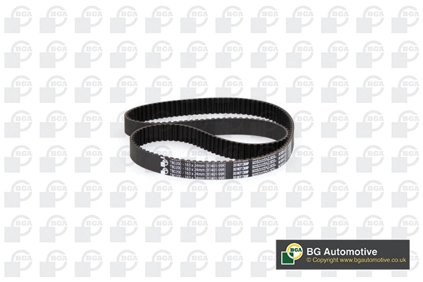 Timing Belt (WG2258347)