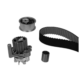 Water Pump & Timing Belt Kit (WG2261611)