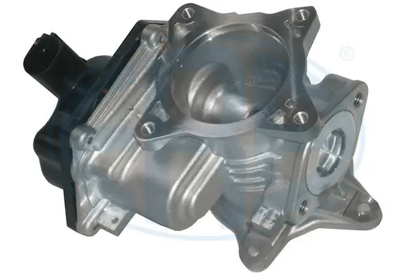 EGR Valve (WG1494756)