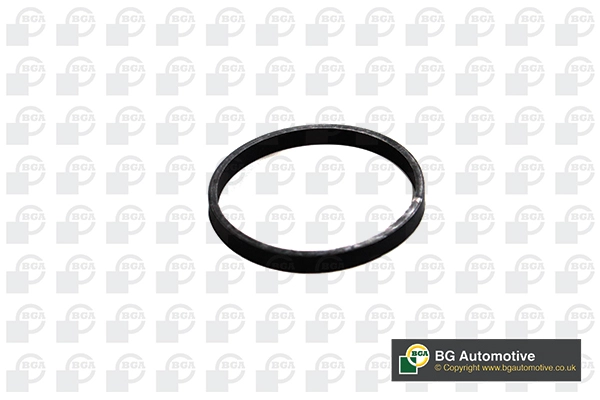 Gasket, intake manifold (WG1993241)