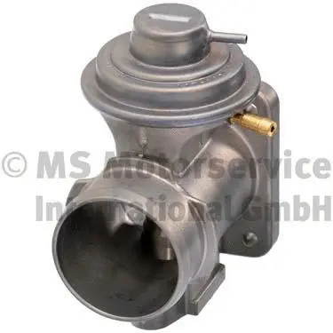 EGR Valve (WG1026651)