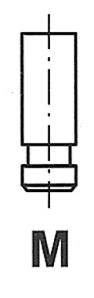 Intake Valve (WG1157433)