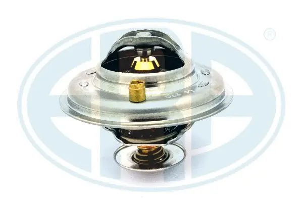 Thermostat, coolant (WG1777178)