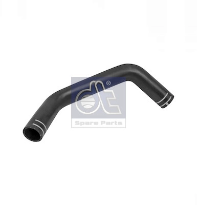 Radiator Hose (WG2318949)