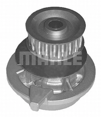 Water Pump, engine cooling (WG2182053)