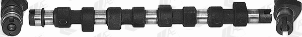 Camshaft (WG1171899)