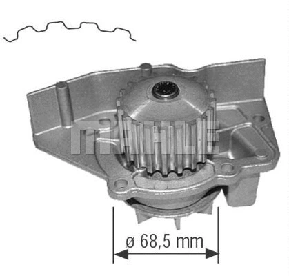 Water Pump, engine cooling (WG2181355)