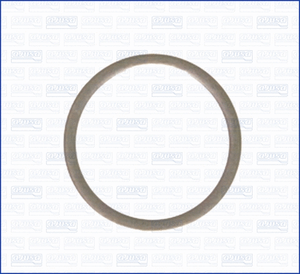 Seal Ring, oil drain plug (WG1452021)