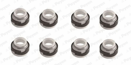 Seal Set, valve stem (WG1181337)