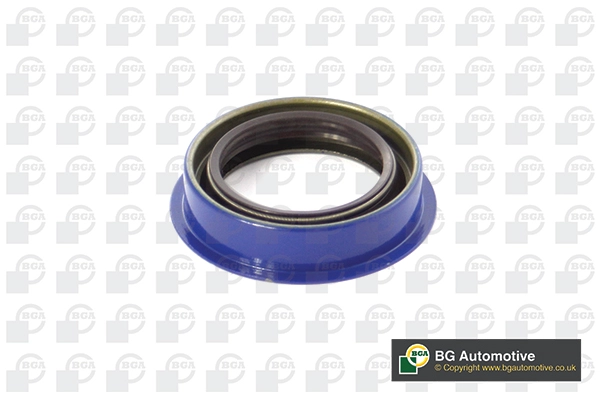 Shaft Seal, differential (WG1993490)