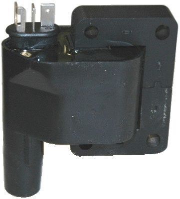 Ignition Coil (WG1012256)