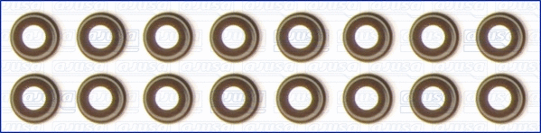 Seal Set, valve stem (WG1169812)
