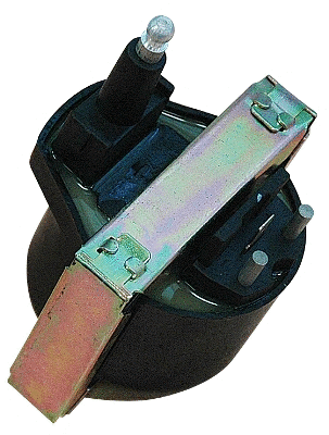 Ignition Coil (WG1012183)