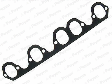 Gasket, intake manifold (WG1177069)