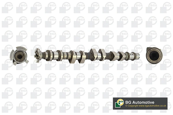 Camshaft (WG1490628)