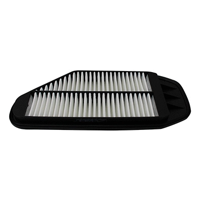 Air Filter (WG2152098)