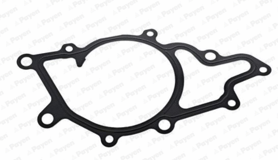 Gasket, water pump (WG1182868)