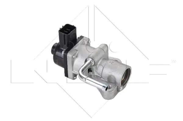 EGR Valve (WG2161809)