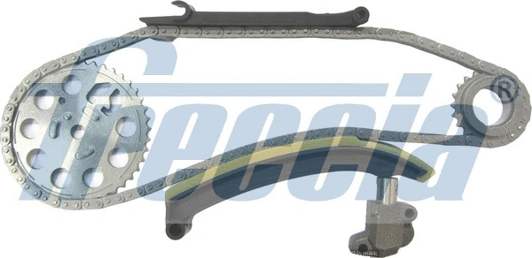 Timing Chain Kit (WG1910025)