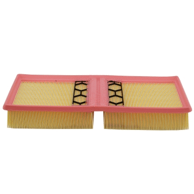 Air Filter (WG2177518)