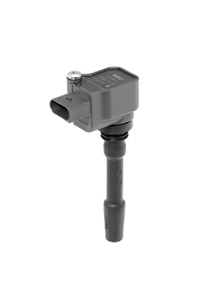 Ignition Coil (WG1487624)