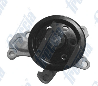 Water Pump, engine cooling (WG1910099)