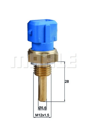 Sensor, coolant temperature (WG1789655)