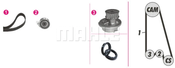 Water Pump & Timing Belt Kit (WG2182101)
