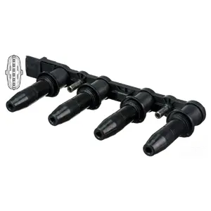 Ignition Coil (WG1029161)