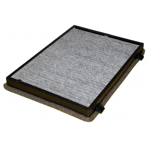 Filter, cabin air (WG1774703)