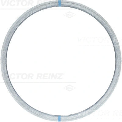 Gasket, cylinder head (WG1244125)