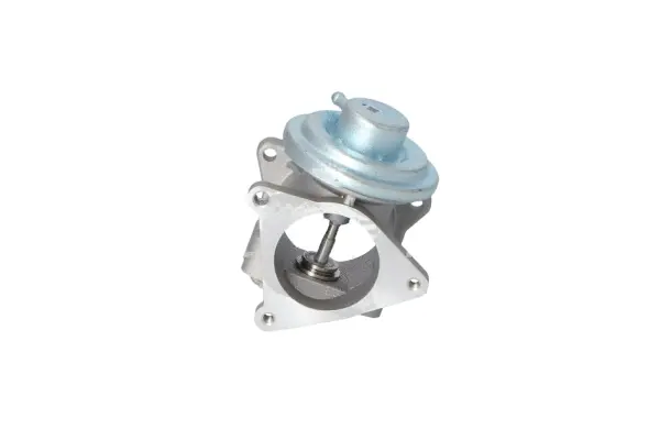 EGR Valve (WG2161798)