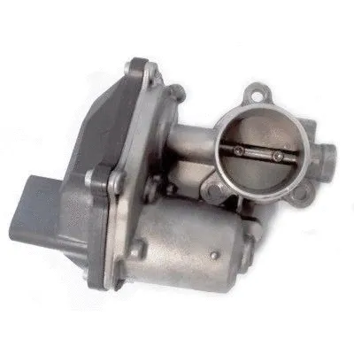 EGR Valve (WG1749385)