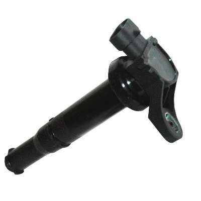 Ignition Coil (WG1012510)