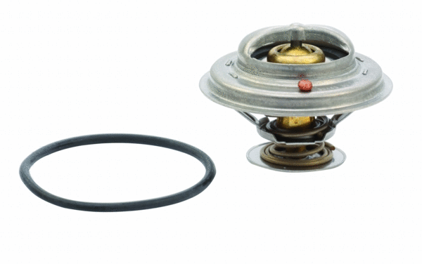 Thermostat, coolant (WG1409325)