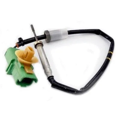 Sensor, exhaust gas temperature (WG1748820)